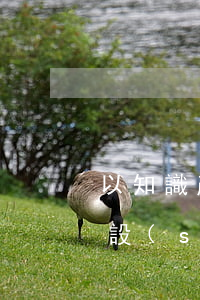 以知識產(chǎn)權(quán)出資設(shè)立公司應(yīng)符合什么條件？